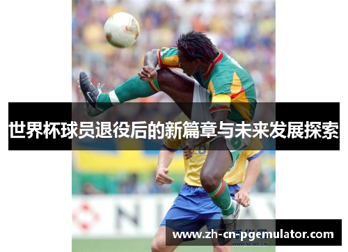 世界杯球员退役后的新篇章与未来发展探索