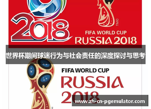 世界杯期间球迷行为与社会责任的深度探讨与思考
