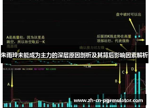 朱雨玲未能成为主力的深层原因剖析及其背后影响因素解析