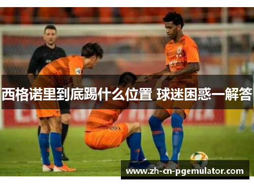 西格诺里到底踢什么位置 球迷困惑一解答