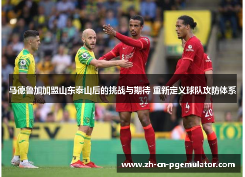 马德鲁加加盟山东泰山后的挑战与期待 重新定义球队攻防体系