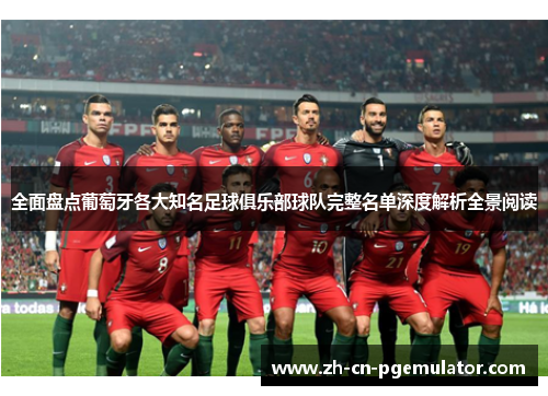 全面盘点葡萄牙各大知名足球俱乐部球队完整名单深度解析全景阅读