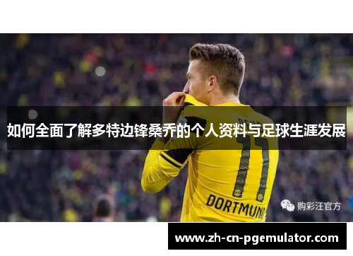 如何全面了解多特边锋桑乔的个人资料与足球生涯发展