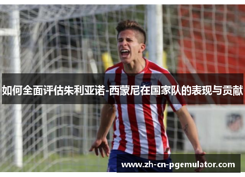 如何全面评估朱利亚诺-西蒙尼在国家队的表现与贡献
