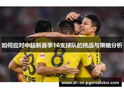 如何应对中超新赛季16支球队的挑战与策略分析