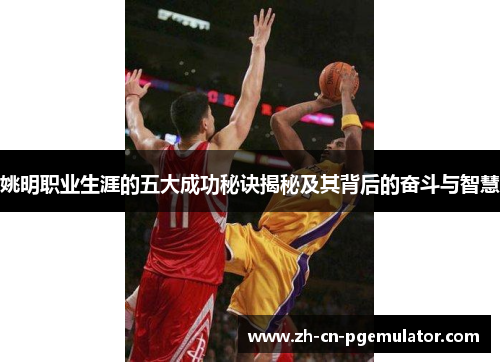 姚明职业生涯的五大成功秘诀揭秘及其背后的奋斗与智慧