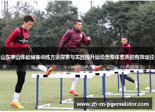 山东泰山体能储备训练方法探索与实践提升运动员整体素质的有效途径