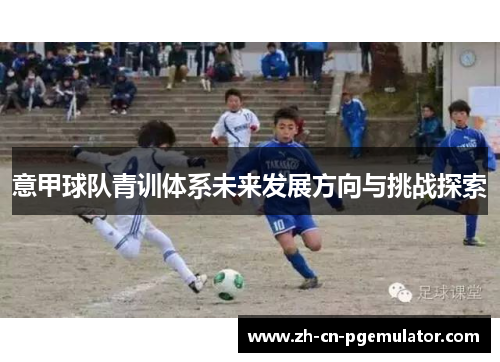 意甲球队青训体系未来发展方向与挑战探索