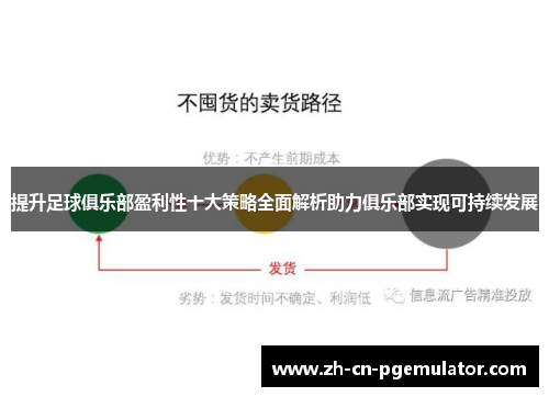 提升足球俱乐部盈利性十大策略全面解析助力俱乐部实现可持续发展